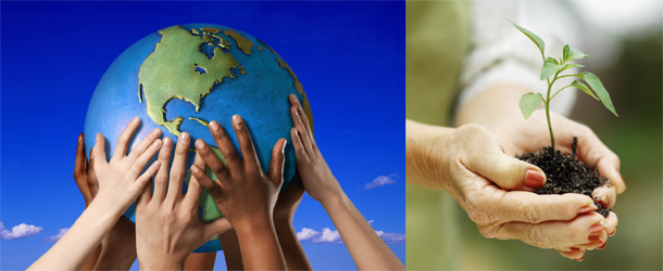 ���{�֌W�w���11�񌤏C��